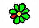 ICQ