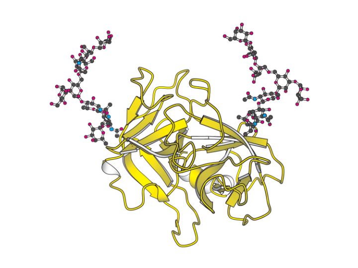 oligosacharidy